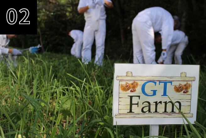 GT Farm 栗拾い