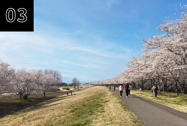 さくら市 ゆうゆうパーク